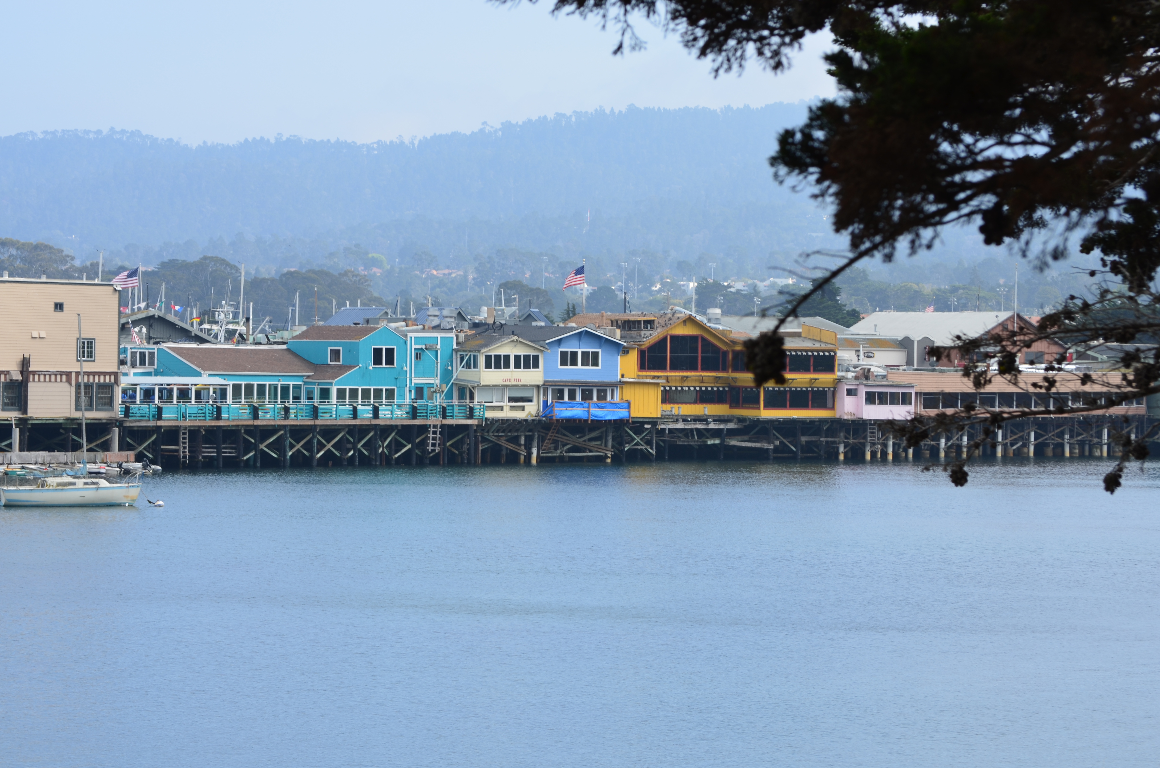 ./2018/09 - San Francisco/ASC_0881.JPG